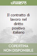 Il contratto di lavoro nel diritto positivo italiano libro