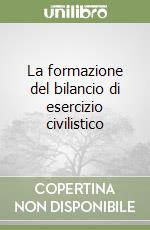 La formazione del bilancio di esercizio civilistico libro