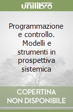 Programmazione e controllo. Modelli e strumenti in prospettiva sistemica libro