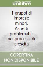 I gruppi di imprese minori. Aspetti problematici nei processi di crescita libro