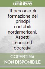 Il percorso di formazione dei principi contabili nordamericani. Aspetti teorici ed operativi