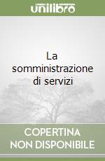 La somministrazione di servizi