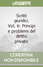 Scritti giuridici. Vol. 6: Principi e problemi del diritto privato libro