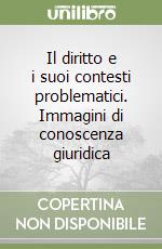Il diritto e i suoi contesti problematici. Immagini di conoscenza giuridica libro