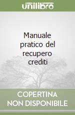 Manuale pratico del recupero crediti libro