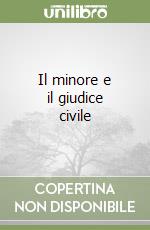 Il minore e il giudice civile