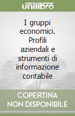 I gruppi economici. Profili aziendali e strumenti di informazione contabile