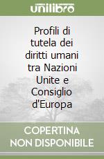 Profili di tutela dei diritti umani tra Nazioni Unite e Consiglio d'Europa