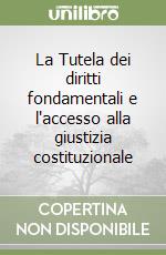 La Tutela dei diritti fondamentali e l'accesso alla giustizia costituzionale libro