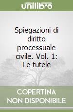 Spiegazioni di diritto processuale civile. Vol. 1: Le tutele libro