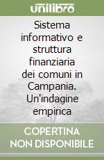 Sistema informativo e struttura finanziaria dei comuni in Campania. Un'indagine empirica libro