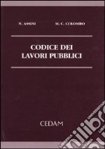 Codice dei lavori pubblici libro