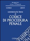 Commentario breve al codice di procedura penale libro