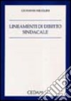 Lineamenti di diritto sindacale libro