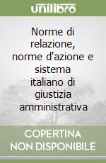 Norme di relazione, norme d'azione e sistema italiano di giustizia amministrativa libro