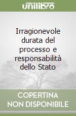 Irragionevole durata del processo e responsabilità dello Stato libro