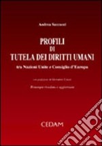 Profili di tutela dei diritti umani. Tra Nazioni Unite e Consiglio d'Europa