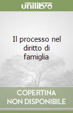 Il processo nel diritto di famiglia libro