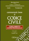 Commentario breve al Codice civile. Complemento giurisprudenziale libro