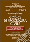 Commentario breve al Codice di procedura civile. Complemento giurisprudenziale. Appendice di aggiornamento 2005 libro