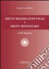 Diritto dell'esecuzione penale e diritto penitenziario. Guida ragionata libro