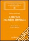 Il processo nel diritto di famiglia libro