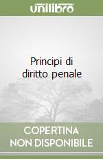 Principi di diritto penale libro