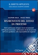 Risarcimento del danno da processo. Con CD-ROM