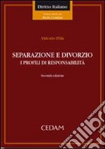 Separazione e divorzio. I profili di responsabilità