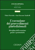 L'esecuzione dei provvedimenti giurisdizionali. Disciplina dell'esecuzione penale e finanziaria libro