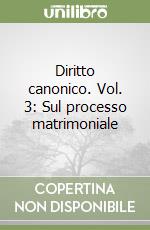 Diritto canonico. Vol. 3: Sul processo matrimoniale