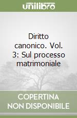 Diritto canonico. Vol. 3: Sul processo matrimoniale libro