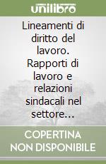 Lineamenti di diritto del lavoro. Rapporti di lavoro e relazioni sindacali nel settore privato