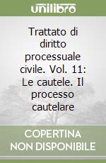 Trattato di diritto processuale civile. Vol. 11: Le cautele. Il processo cautelare libro