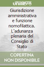 Giurisdizione amministrativa e funzione nomofilattica. L'adunanza plenaria del Consiglio di Stato