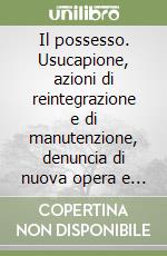 Il possesso. Usucapione, azioni di reintegrazione e di manutenzione, denuncia di nuova opera e di danno temuto libro