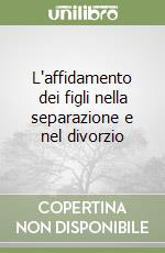 L'affidamento dei figli nella separazione e nel divorzio libro