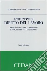 Istituzioni di diritto del lavoro. Rapporti di lavoro e relazioni sindacali nel settore privato libro