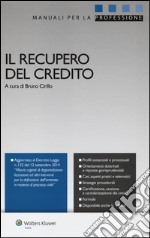 Il recupero del credito libro