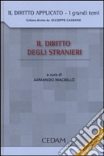 Il diritto degli stranieri libro