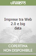 Imprese tra Web 2.0 e big data
