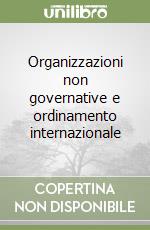 Organizzazioni non governative e ordinamento internazionale libro