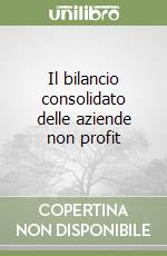 Il bilancio consolidato delle aziende non profit libro