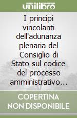 I principi vincolanti dell'adunanza plenaria del Consiglio di Stato sul codice del processo amministrativo (2010-2015) libro