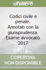 Codici civile e penale. Annotati con la giurisprudenza. Esame avvocato 2017 libro