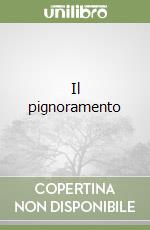 Il pignoramento