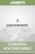 Il pignoramento libro