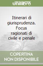 Itinerari di giurisprudenza. Focus ragionati di civile e penale libro