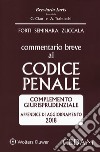 Commentario breve al codice penale. Complemento giurisprudenziale. Appendice di aggiornamento 2018 libro