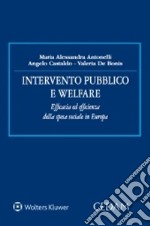 Intervento pubblico e welfare. Efficacia ed efficienza della spesa sociale in Europa libro